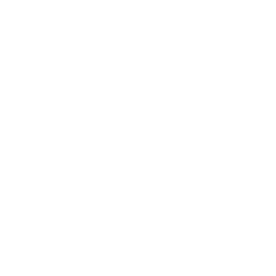 logo white small